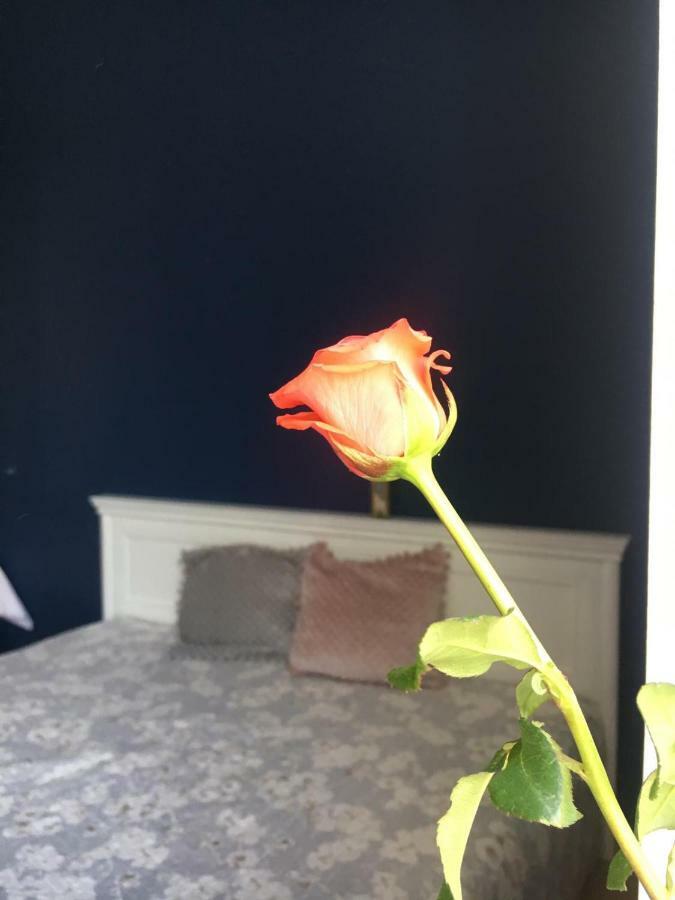 Apartament Rynek 11B Opole Eksteriør bilde